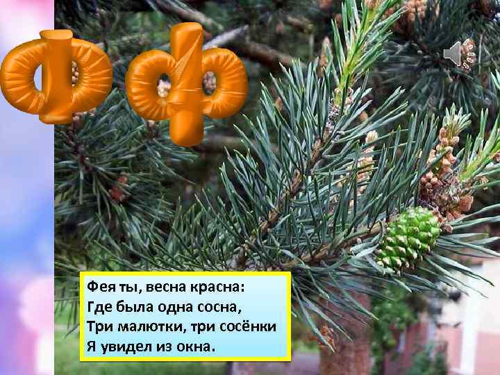 Фея ты, весна красна: Где была одна сосна, Три малютки, три сосёнки Я увидел