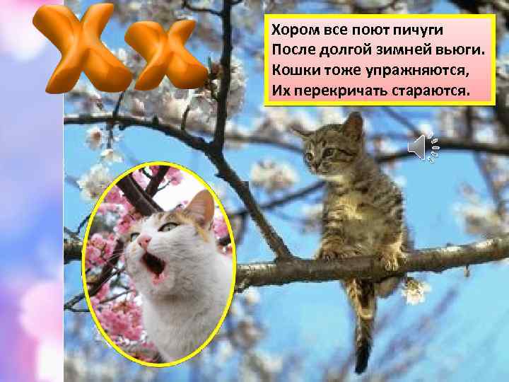 Хором все поют пичуги После долгой зимней вьюги. Кошки тоже упражняются, Их перекричать стараются.