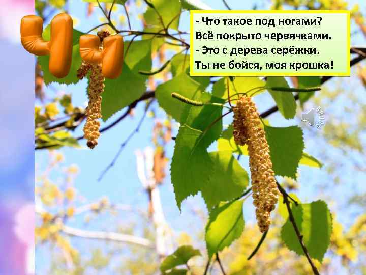 - Что такое под ногами? Всё покрыто червячками. - Это с дерева серёжки. Ты