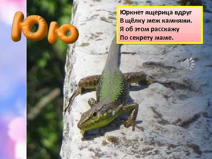 Юркнет ящерица вдруг В щёлку меж камнями. Я об этом расскажу По секрету маме.