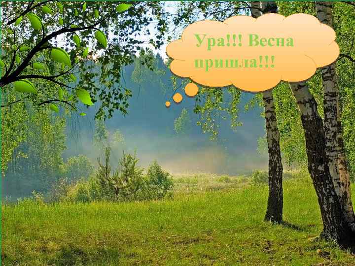 Ура!!! Весна пришла!!! 