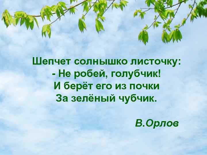 Шепчет солнышко листочку: - Не робей, голубчик! И берёт его из почки За зелёный