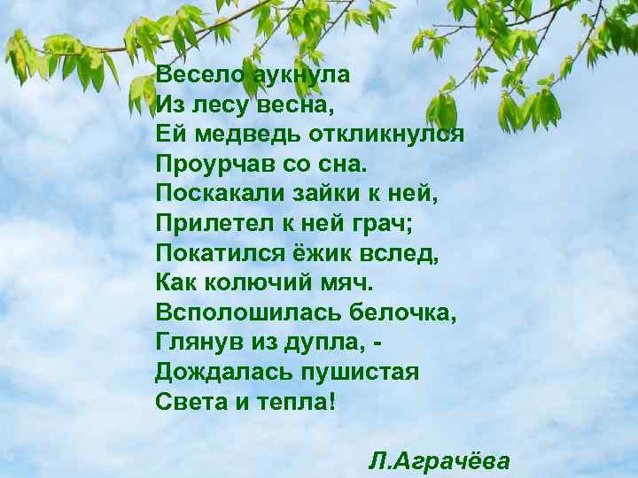 Весело аукнула Из лесу весна, Ей медведь откликнулся Проурчав со сна. Поскакали зайки к