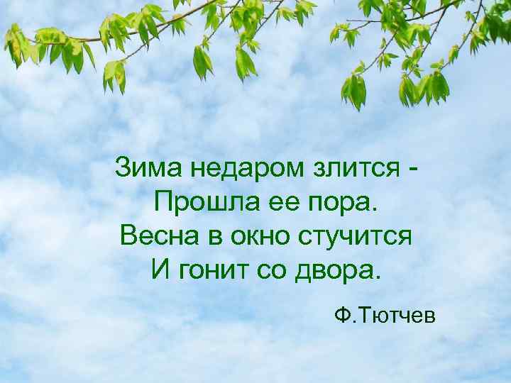 Зима недаром злится Прошла ее пора. Весна в окно стучится И гонит со двора.