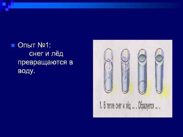 n Опыт № 1: снег и лёд превращаются в воду. 