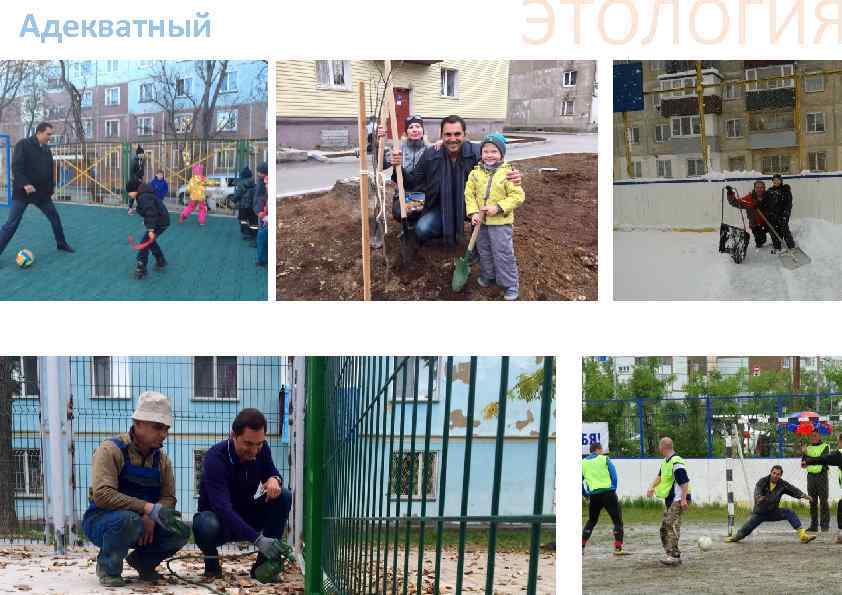 Адекватный ЭТОЛОГИЯ 