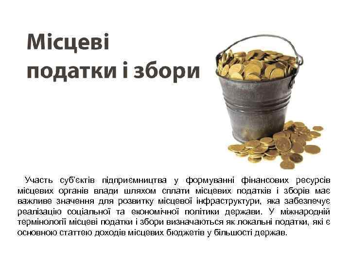 Місцеві податки і збори. Участь суб’єктів підприємництва у формуванні фінансових ресурсів місцевих органів влади