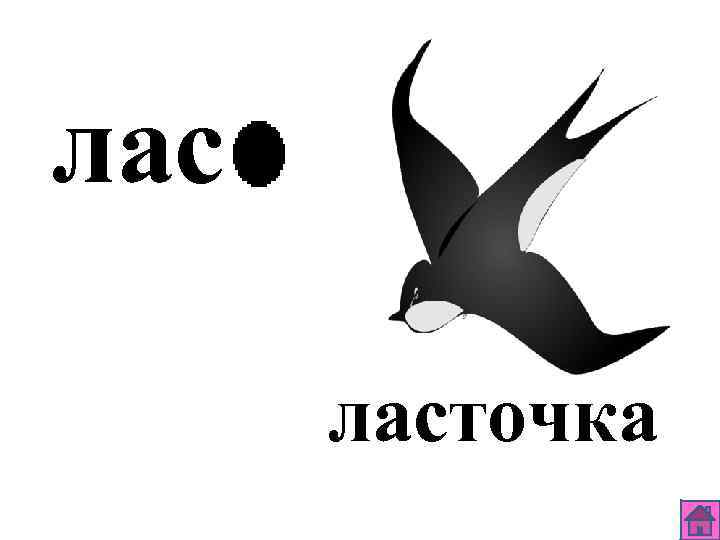 лас ласточка 