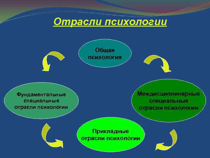 Отрасли психологии Общая психология Фундаментальные специальные отрасли психологии Междисциплинарные специальные отрасли психологии Прикладные отрасли
