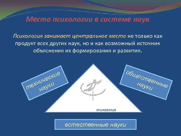 Место психологии в системе наук Психология занимает центральное место не только как продукт всех