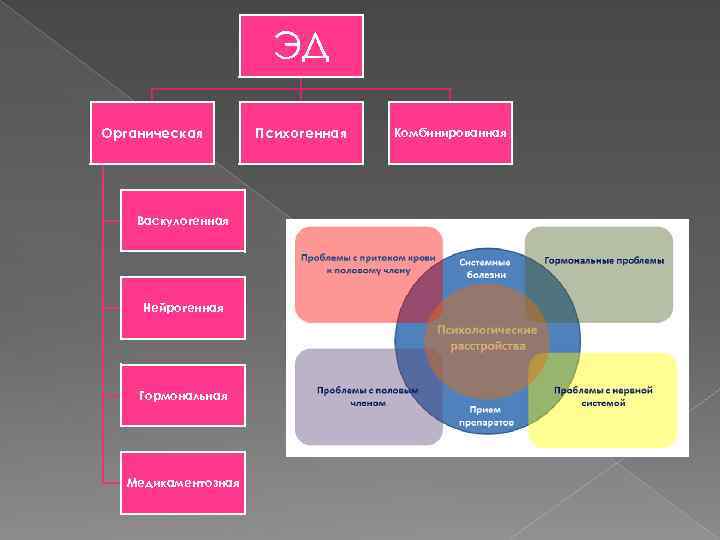 ЭД Органическая Васкулогенная Нейрогенная Гормональная Медикаментозная Психогенная Комбинированная 