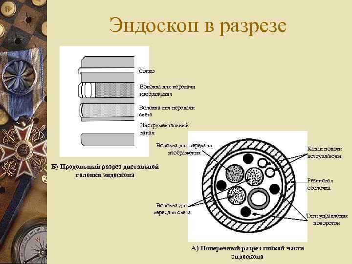 Эндоскоп в разрезе Сопло Волокна для передачи изображения Волокна для передачи света Инструментальный канал