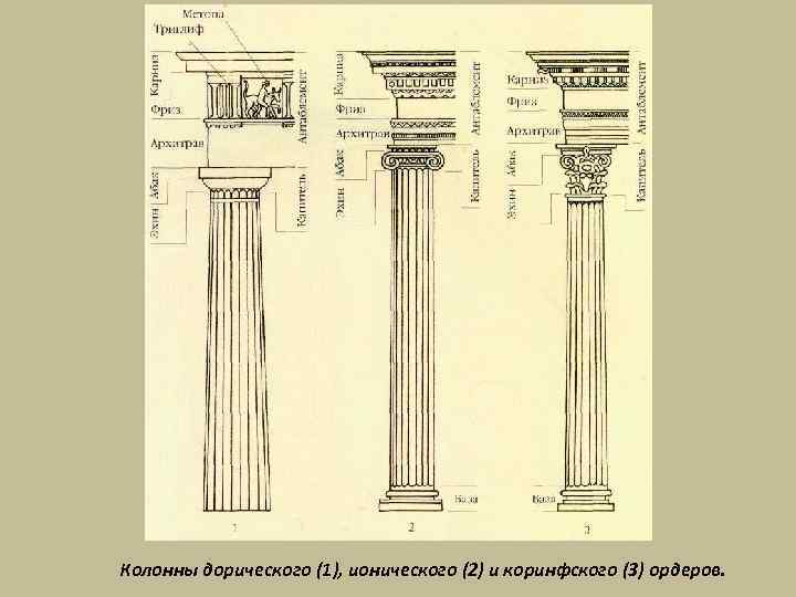 Колонны дорического (1), ионического (2) и коринфского (3) ордеров. 