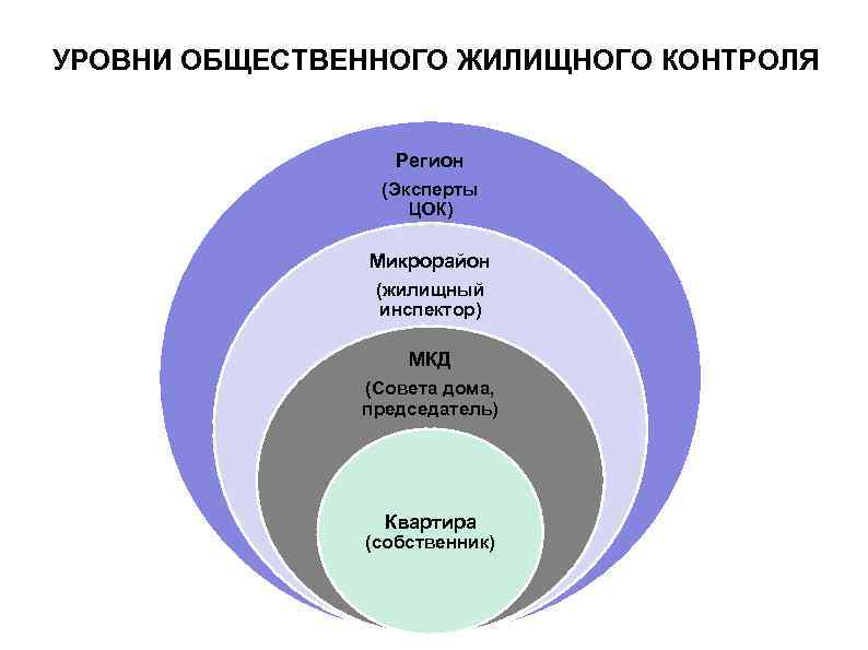 Общественный социальный контроль