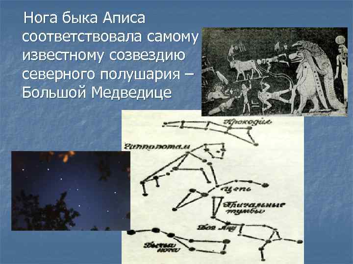 Нога быка Аписа соответствовала самому известному созвездию северного полушария – Большой Медведице 