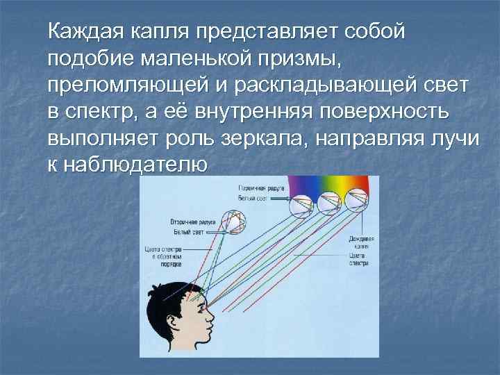 Каждая капля представляет собой подобие маленькой призмы, преломляющей и раскладывающей свет в спектр, а