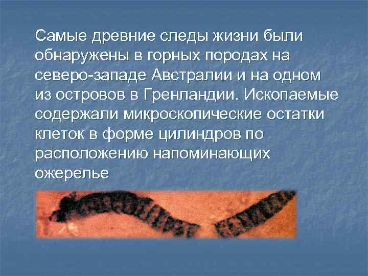 Самые древние следы жизни были обнаружены в горных породах на северо-западе Австралии и на