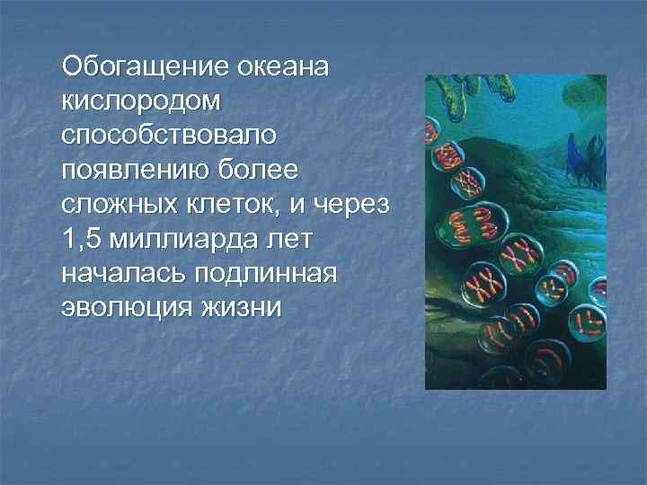Обогащение океана кислородом способствовало появлению более сложных клеток, и через 1, 5 миллиарда лет