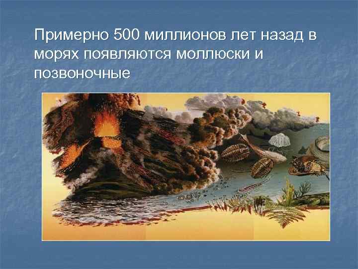 Примерно 500 миллионов лет назад в морях появляются моллюски и позвоночные 