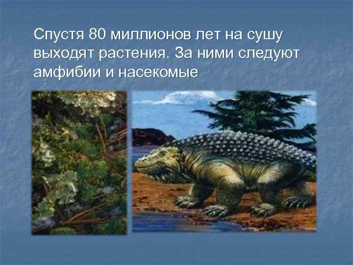 Спустя 80 миллионов лет на сушу выходят растения. За ними следуют амфибии и насекомые
