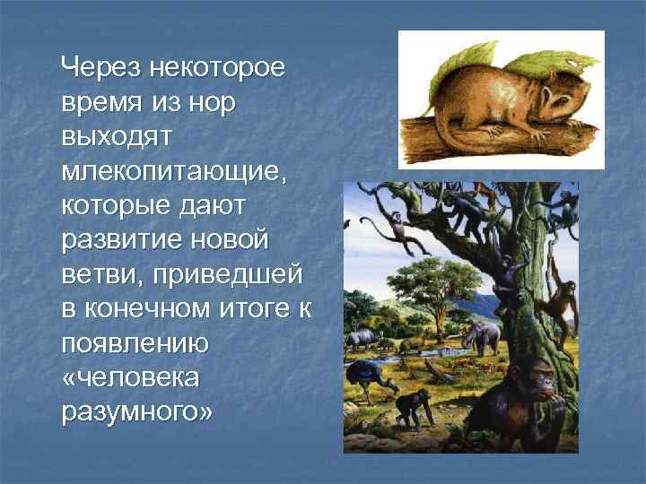 Через некоторое время из нор выходят млекопитающие, которые дают развитие новой ветви, приведшей в