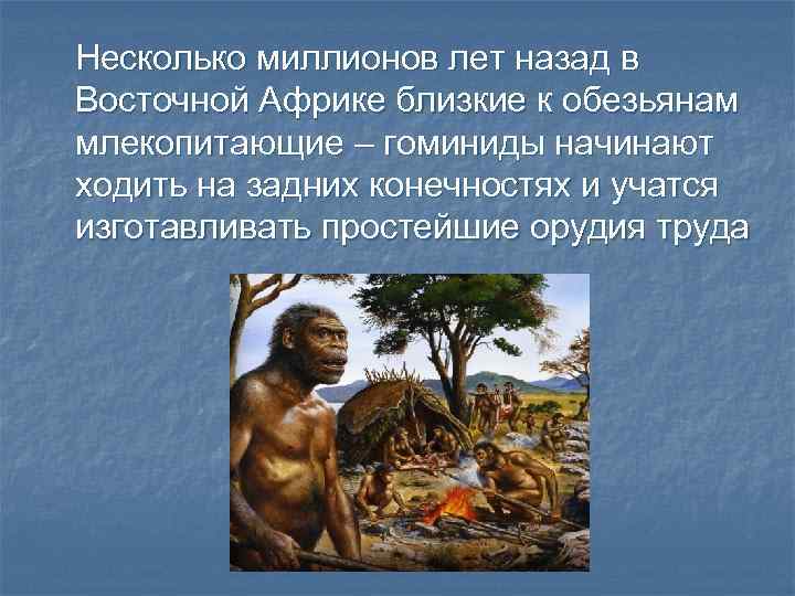 Несколько миллионов лет назад в Восточной Африке близкие к обезьянам млекопитающие – гоминиды начинают