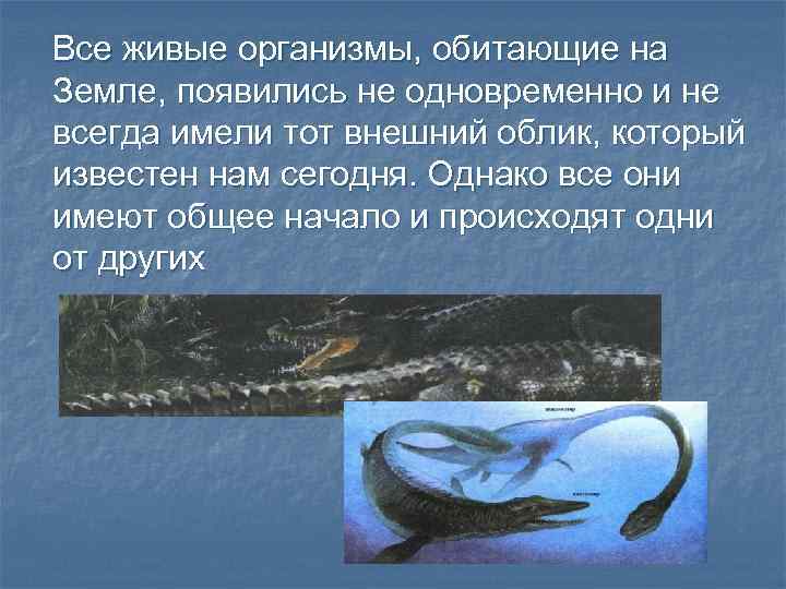 Все живые организмы, обитающие на Земле, появились не одновременно и не всегда имели тот
