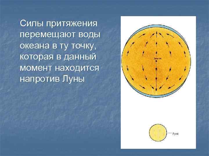 Силы притяжения перемещают воды океана в ту точку, которая в данный момент находится напротив