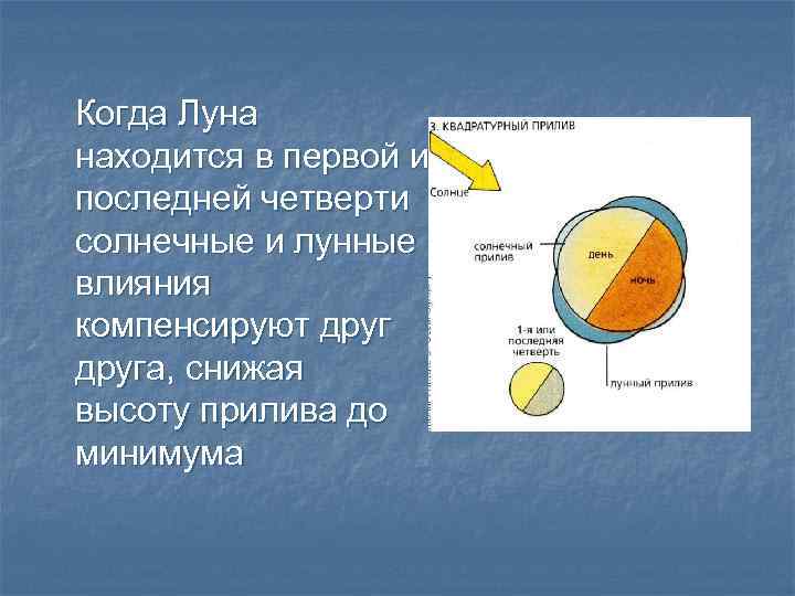 Когда Луна находится в первой и последней четверти солнечные и лунные влияния компенсируют друга,