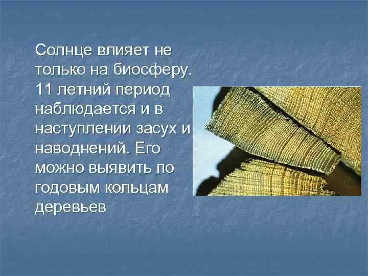 Самый знакомый. Влияние солнца на биосферу. Как солнце влияет на дерево. Влияние солнца на деревья. Солнце влияет на биосферу.