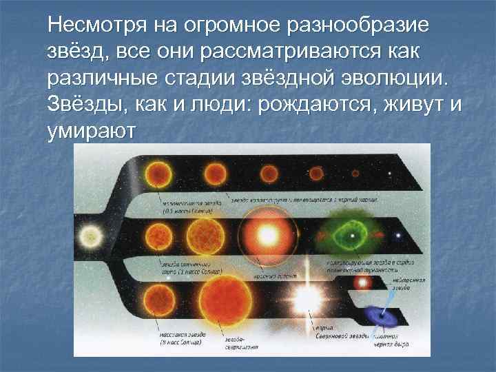 Несмотря на огромное разнообразие звёзд, все они рассматриваются как различные стадии звёздной эволюции. Звёзды,