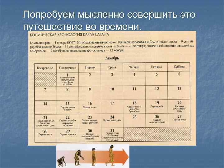 Попробуем мысленно совершить это путешествие во времени. 