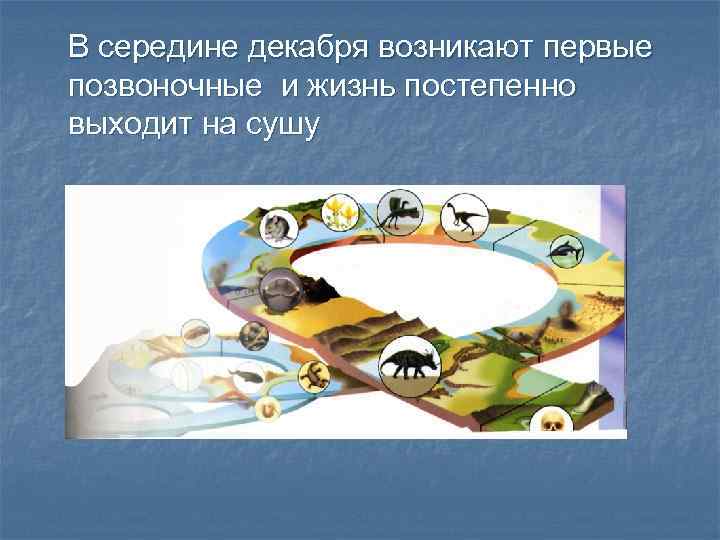 В середине декабря возникают первые позвоночные и жизнь постепенно выходит на сушу 