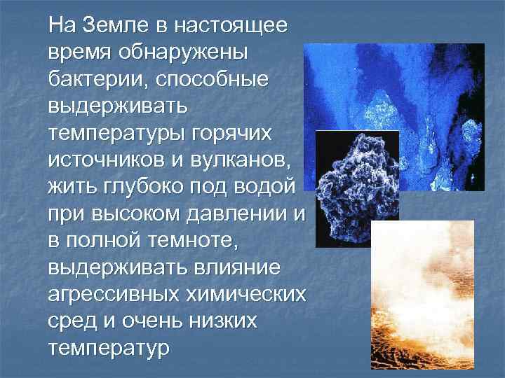 На Земле в настоящее время обнаружены бактерии, способные выдерживать температуры горячих источников и вулканов,