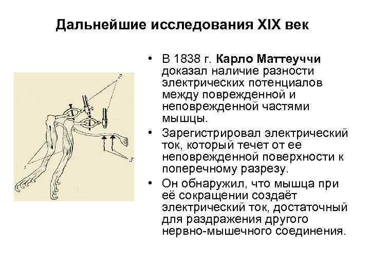 Дальнейшее изучение. Опыты Гальвани и Маттеуччи физиология. Опыты Гальвани и Маттеуччи физиология вывод. Опыт Маттеуччи физиология вывод. Карло Маттеуччи.