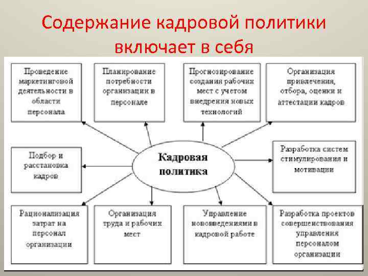 Содержание кадровой политики включает в себя 