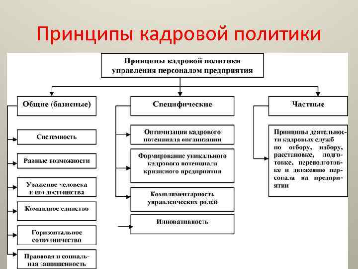 Принципы кадровой политики 