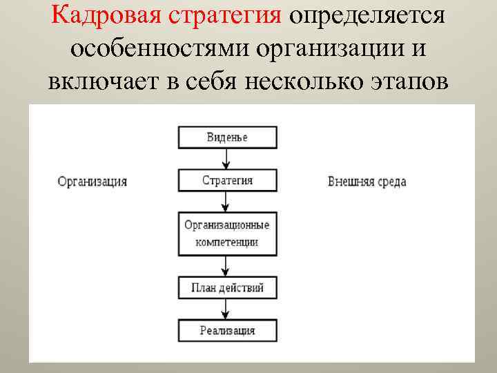 Кадровая стратегия определяется особенностями организации и включает в себя несколько этапов 