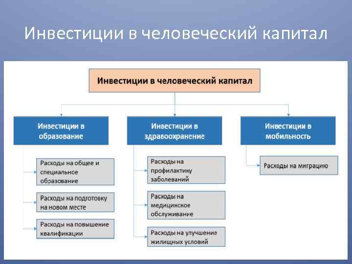 Инвестиции в человеческий капитал 