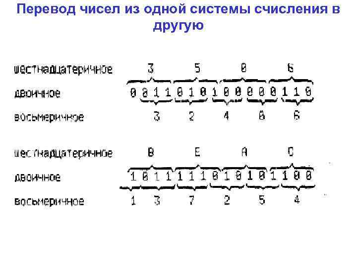 Перевод чисел из одной системы счисления в другую 