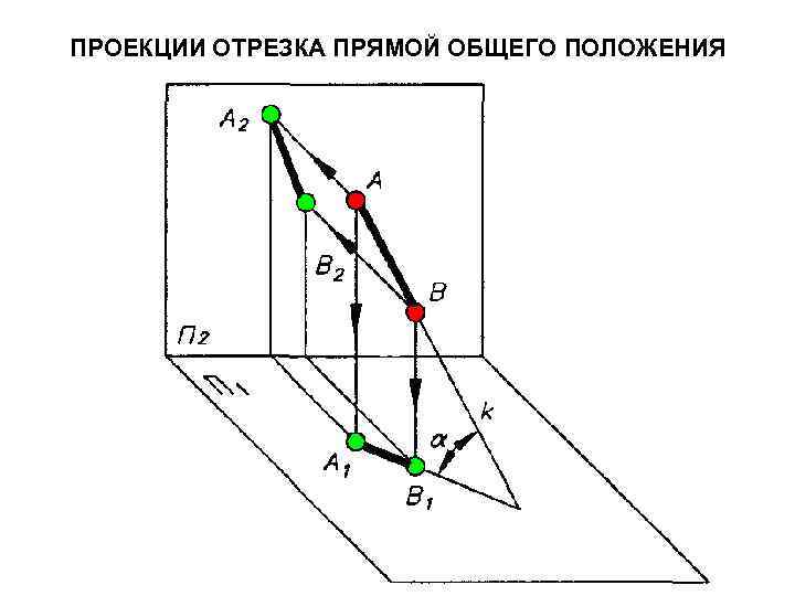 ПРОЕКЦИИ ОТРЕЗКА ПРЯМОЙ ОБЩЕГО ПОЛОЖЕНИЯ 