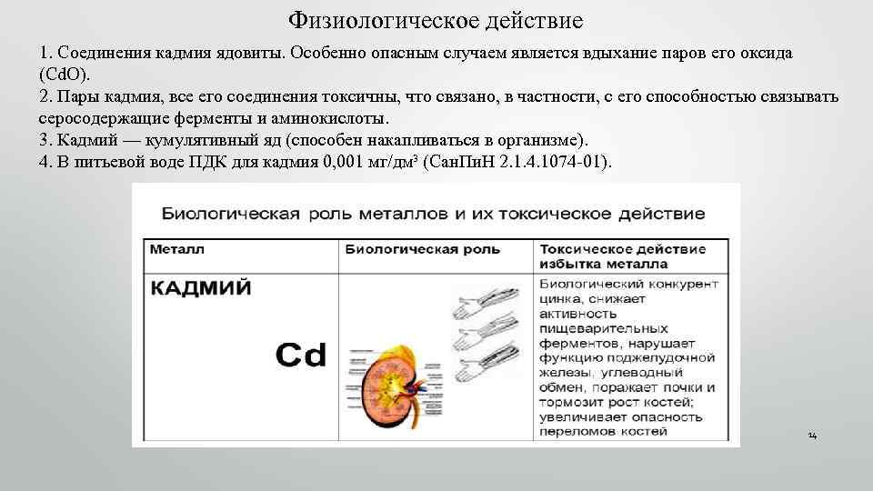 Кадмий влияние на организм