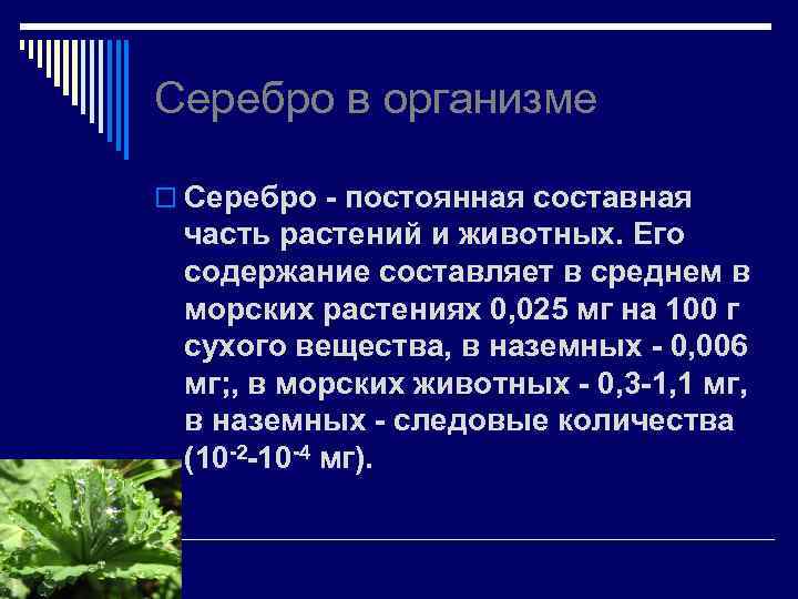 Серебро в организме o Серебро - постоянная составная часть растений и животных. Его содержание