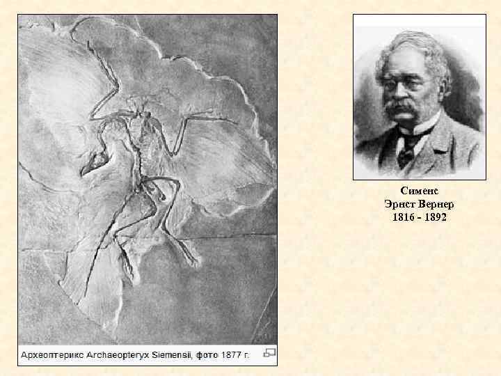 Сименс Эрнст Вернер 1816 - 1892 