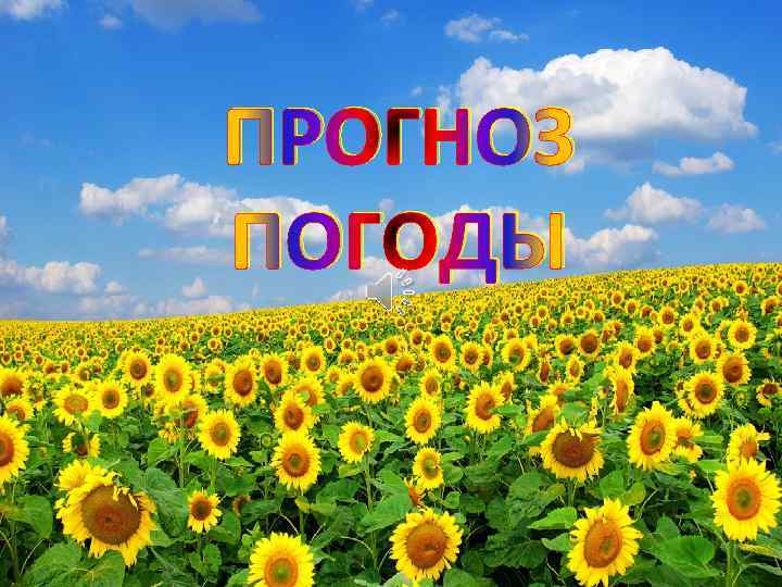 ПРОГНОЗ ПОГОДЫ 