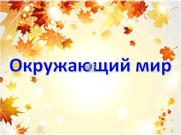 Окружающий мир 