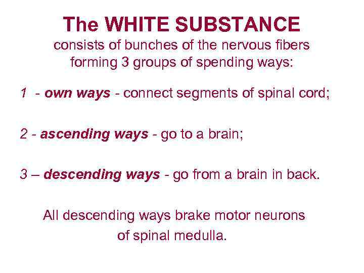 The WHITE SUBSTANCE consists of bunches of the nervous fibers forming 3 groups of