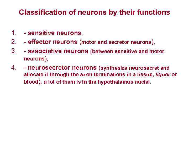 Classification of neurons by their functions 1. 2. 3. 4. - sensitive neurons, -