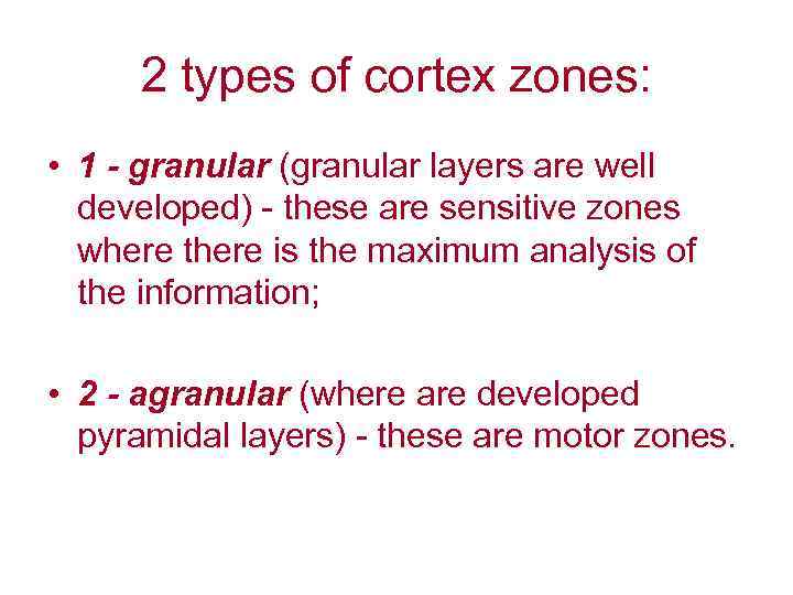 2 types of cortex zones: • 1 - granular (granular layers are well developed)