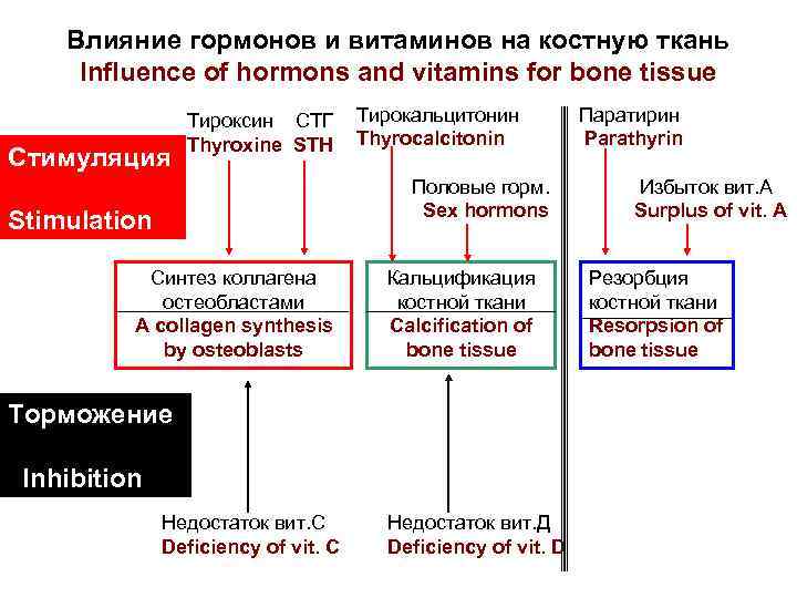 Влияние гормонов